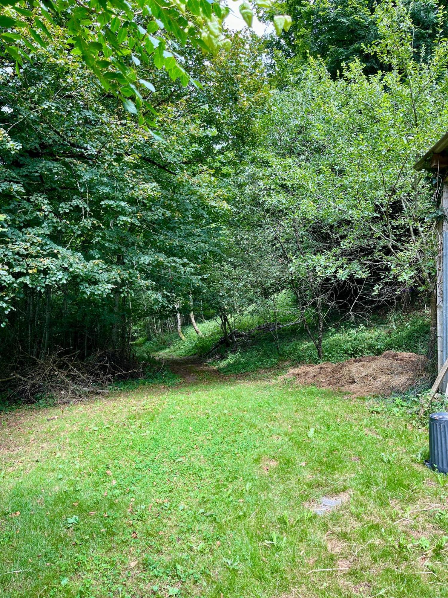 Parenthese En Foret - Lodge Baliveau Le Bez  Esterno foto